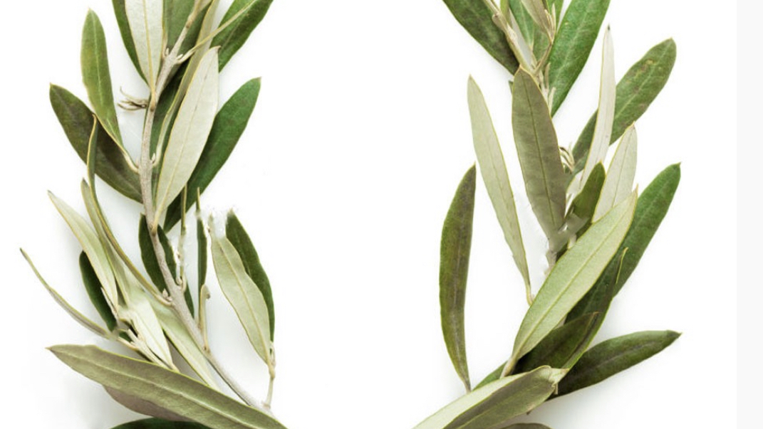 Helios Greek Platja D’Aro-4